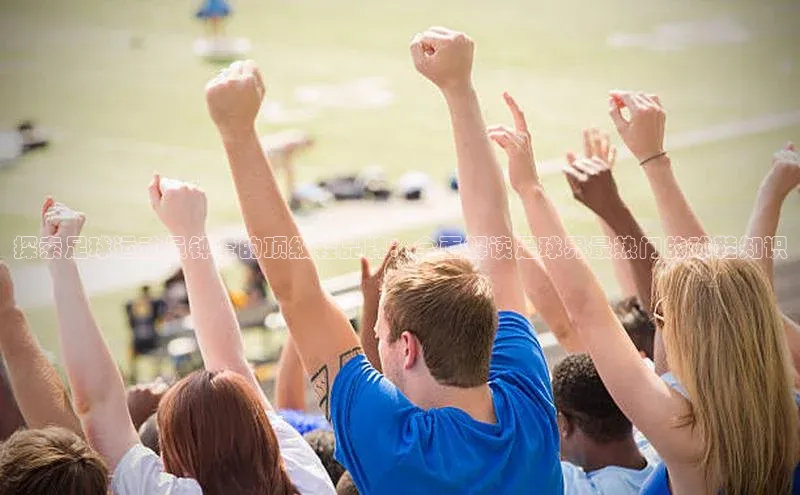 6688体育手机登录入口彩讯股份探索足球运动员钟爱的顶级鞋品牌：全面解读足球界最热门的球鞋知识