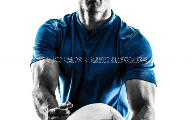 6688体育平台汉得信息《睢阳足球运动员名单照片》：揭秘睢阳足球队阵容，球员名单一览