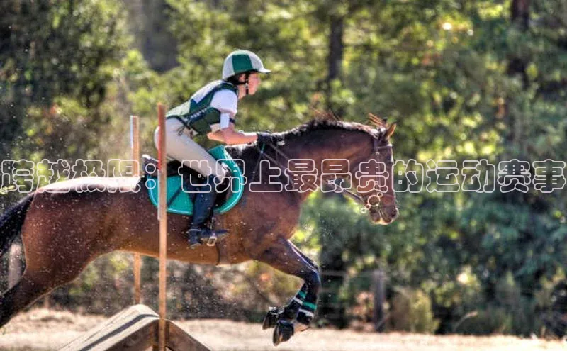 跨越极限：世界上最昂贵的运动赛事