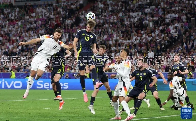 品质引领：普洱赛事运动木地板的革新之路