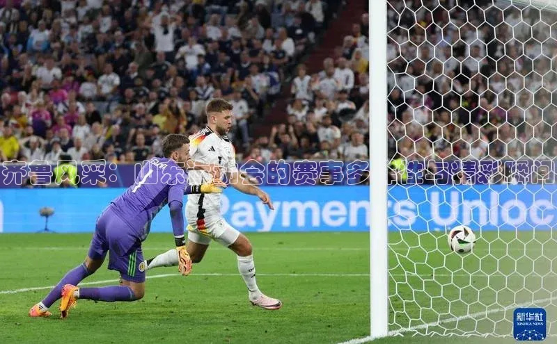 齐鲁风采：山东运动会的赛事多样性与精彩瞬间