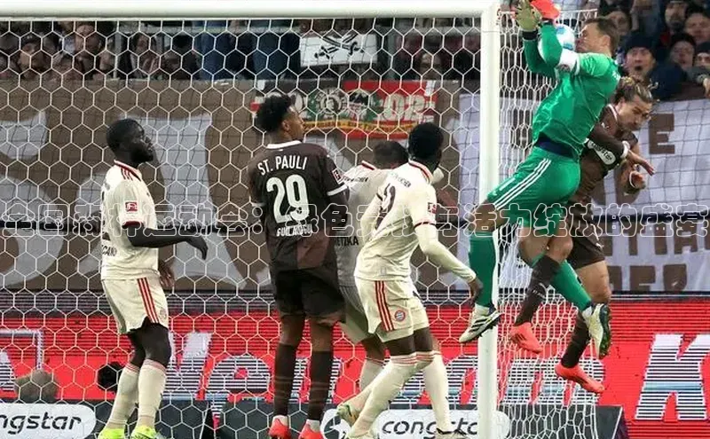 全国森林运动会：绿色竞技与活力绽放的盛宴