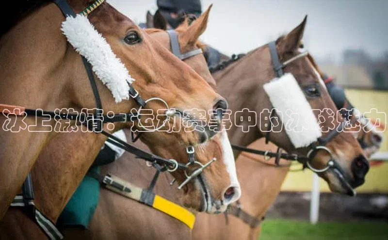 冰上激情：运动赛事中的冰球魅力