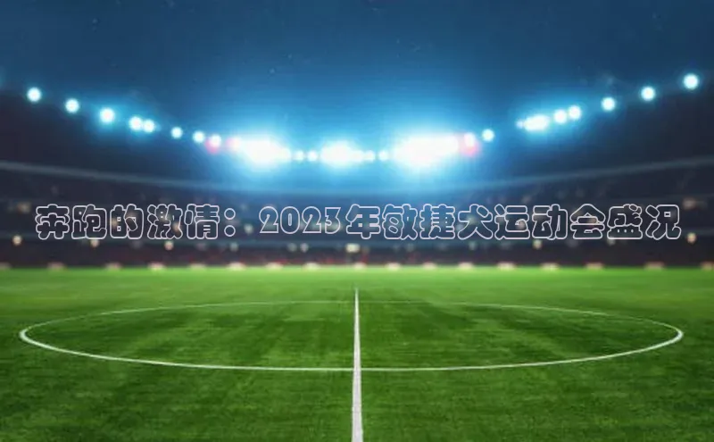 奔跑的激情：2023年敏捷犬运动会盛况