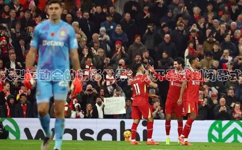 大型运动会的精彩世界：从开幕式到闭幕式