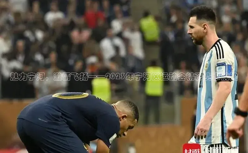 魅力宁河，激情飞扬——2023年宁河区运动会精彩赛事前瞻