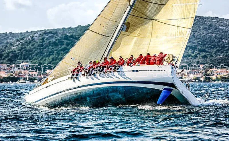 疾风劲草：运动赛事插画中的视觉魅力