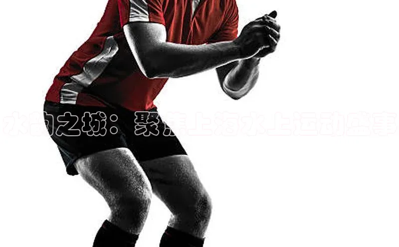 6688体育app的发展历程