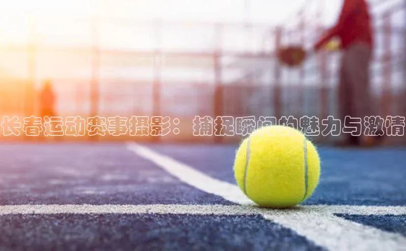 6688体育官网入口网址