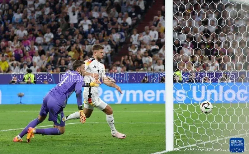 2024年：回顾与展望中国国内运动会精彩瞬间