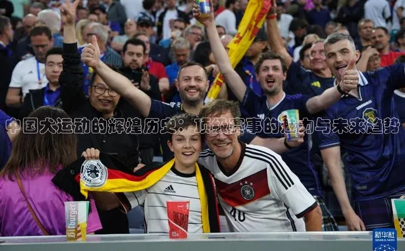 中国犬运动的辉煌历史：顶级赛事的魅力与未来趋势