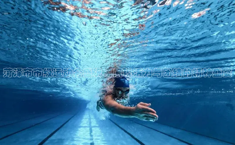 菏泽市市级运动会盛况：展现活力与团结的精神盛宴