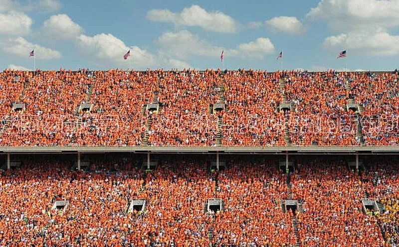 云南体育盛事：未来竞技与文化交流的新领域