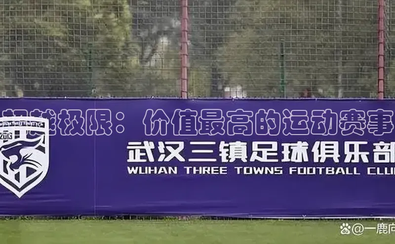 超越极限：价值最高的运动赛事